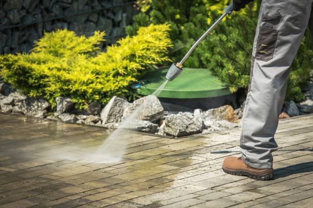 Professional Pressure Washing Services in Courtland, VA